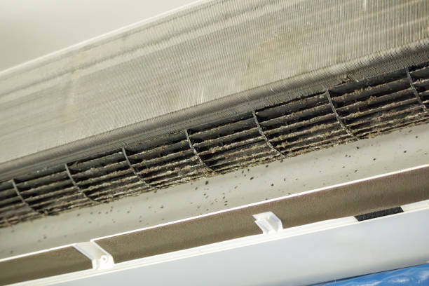 Best General Air Duct Cleaning  in Man, WV