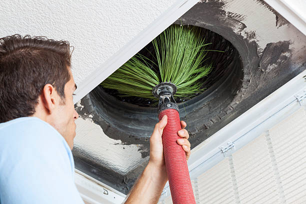 Best Professional Duct Cleaning Services  in Man, WV